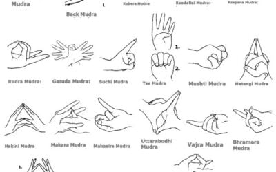 Power Mudra in Hot Yoga