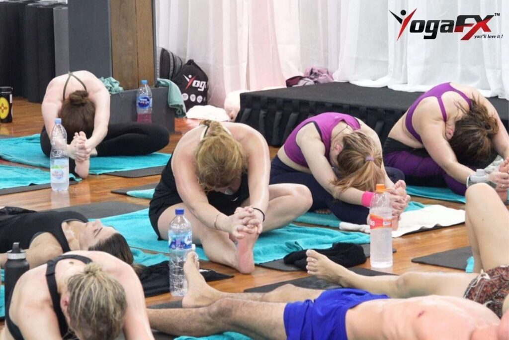 Bikram Yoga vs Hatha Yoga across relationship temperature