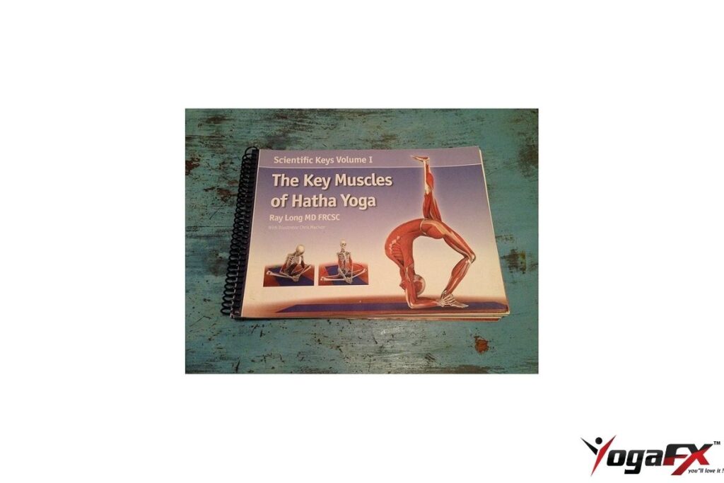 The Key Muscles of Yoga book cover by Ray Long orthopedic surgeon 2006 anatomical guide showing muscle activation diagrams for yoga postures ISBN 9781607432395