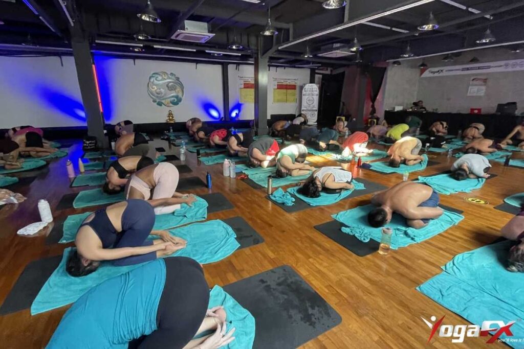 Full expression of Rabbit Pose with hips lifted away from heels creating maximum spinal C-curve